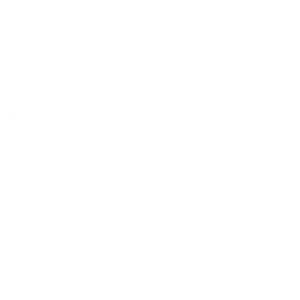 freelance digital marketing expert in dubai boi logo